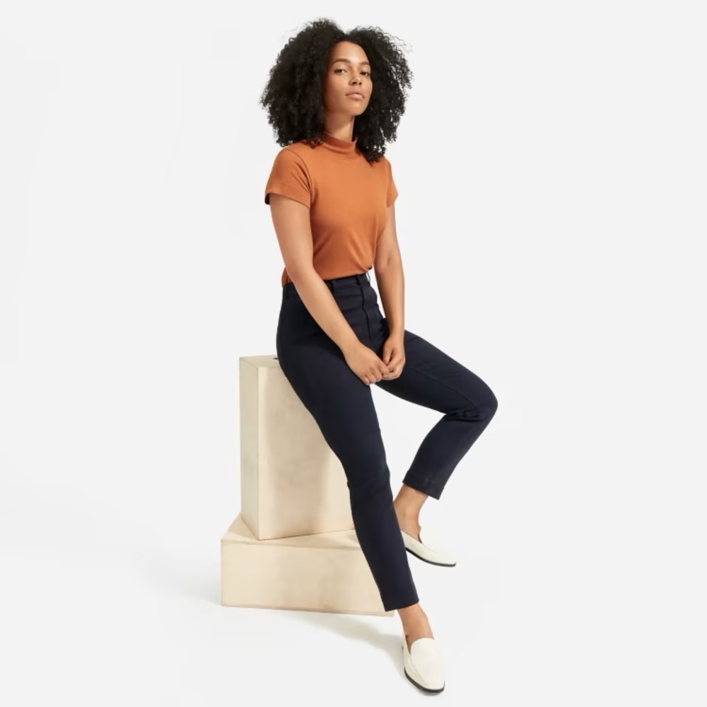 Everlane Slim Leg Crop Pants in Navy